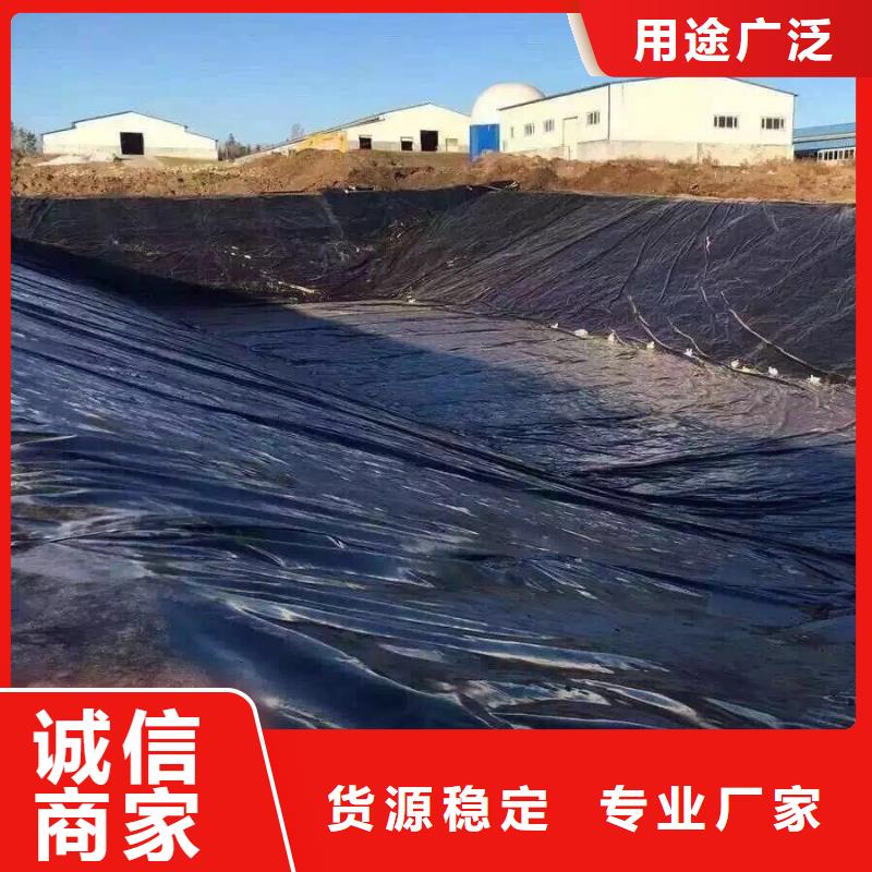 土工膜土工膜廠家實(shí)力大