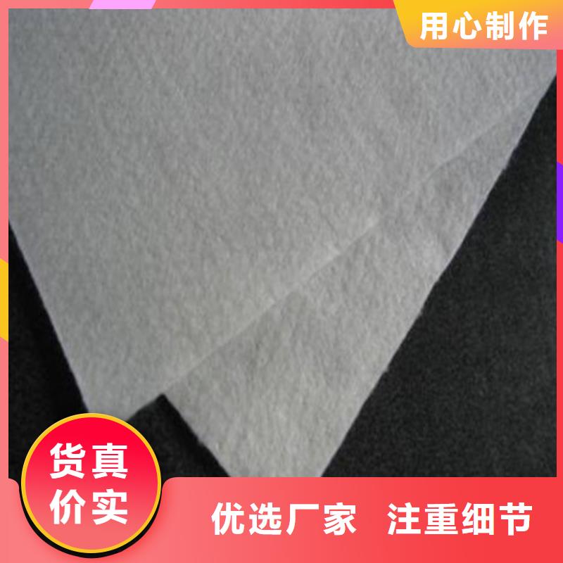 土工布-植草格廠家貨源