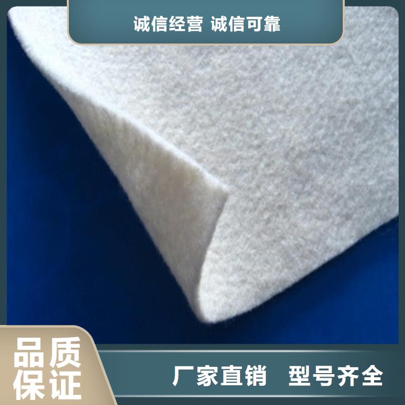 土工布_膨潤土防水毯質(zhì)優(yōu)價(jià)廉