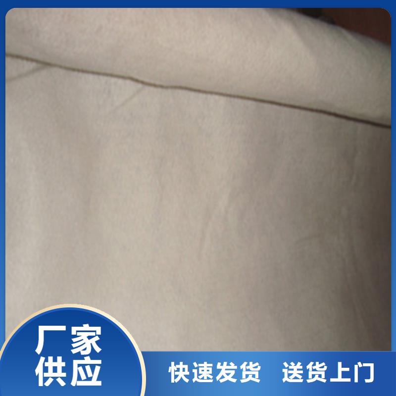 土工布-植草格廠家貨源