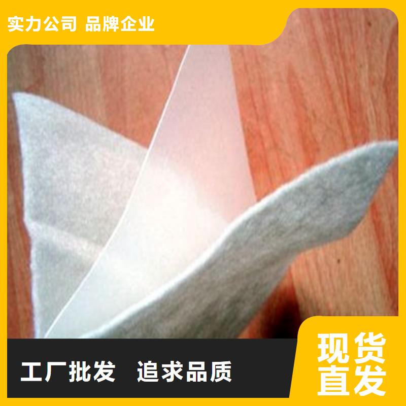 【土工布】-防滲膜重信譽(yù)廠家