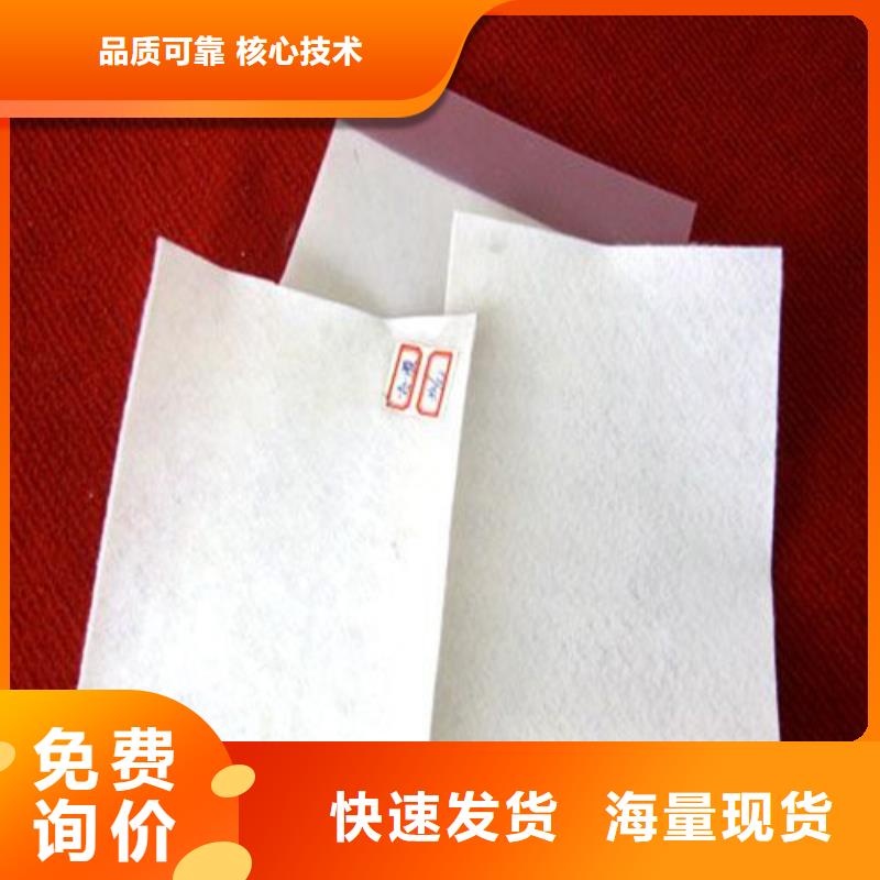 土工布-植草格廠家貨源