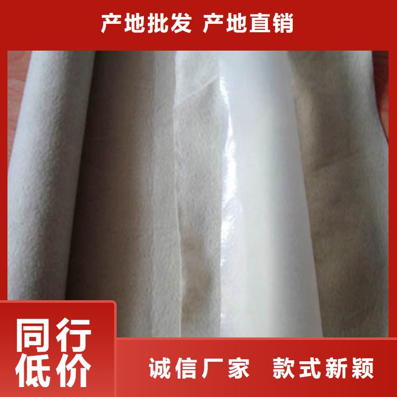 土工布防滲土工布專(zhuān)業(yè)生產(chǎn)團(tuán)隊(duì)
