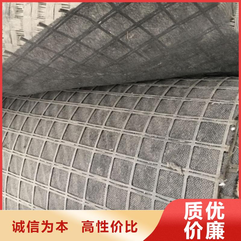 土工格柵雙向拉伸土工格柵定制定做