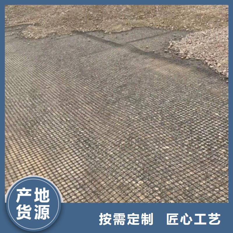 土工格柵雙向拉伸土工格柵定制定做