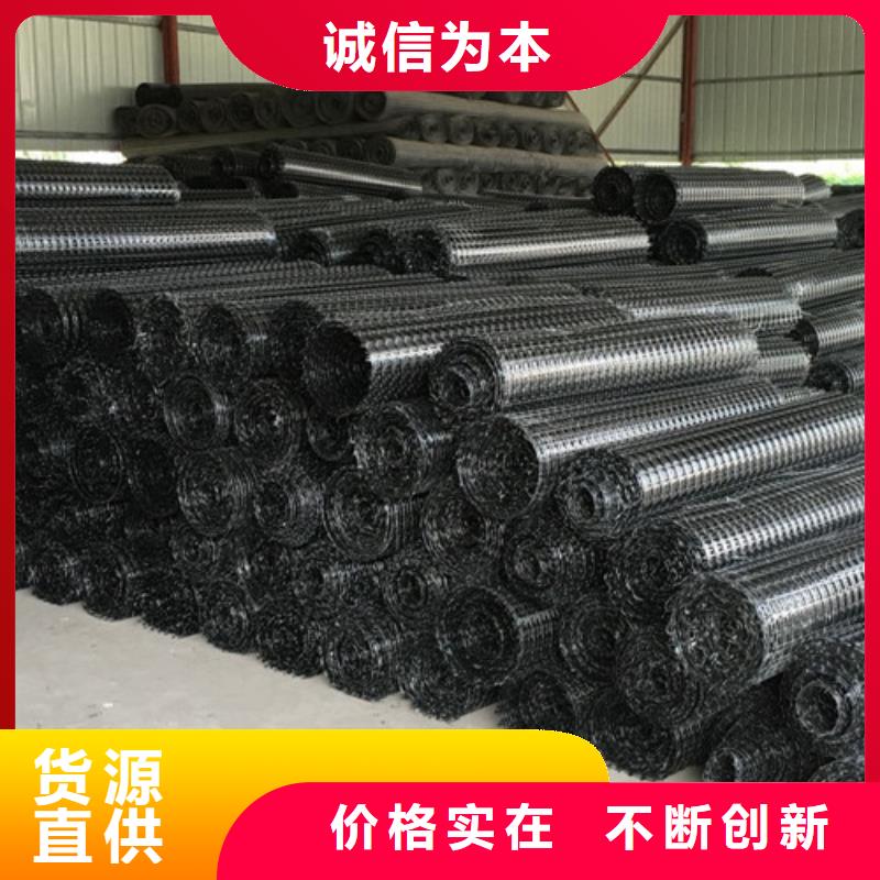 土工格柵滌綸土工格柵廠家定制