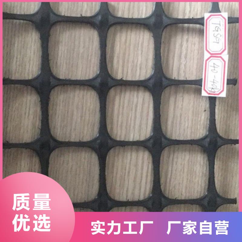 土工格柵雙向鋼塑格柵廠家自營