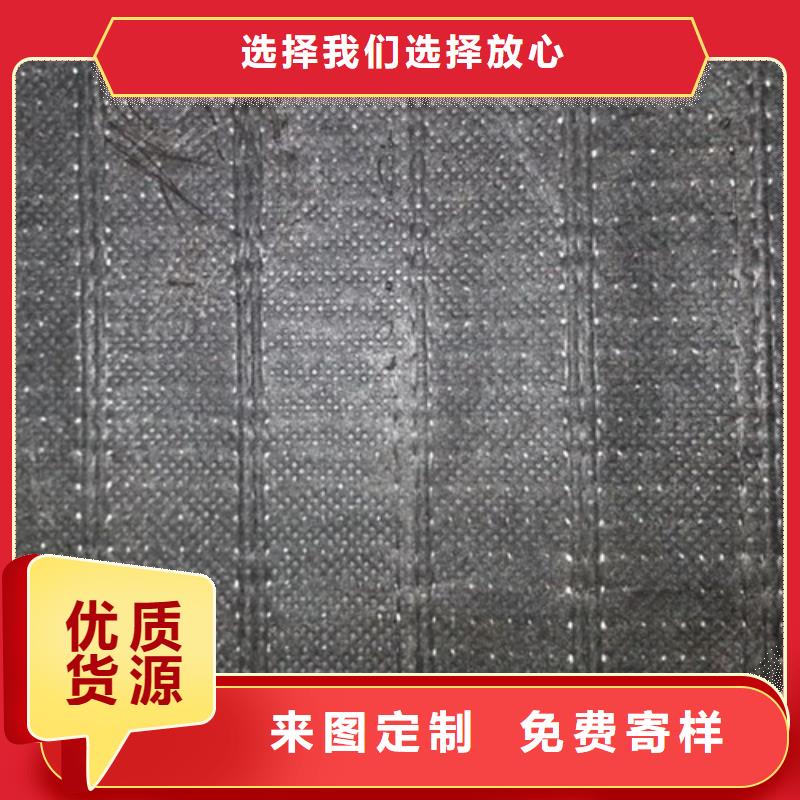 土工格柵雙向鋼塑格柵價(jià)格透明