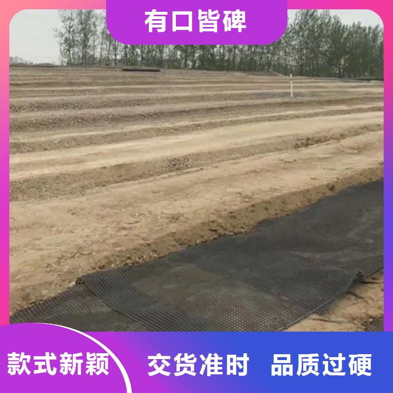 【土工格柵 HDPE土工膜質(zhì)量為本】