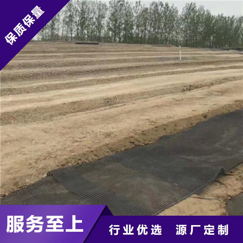土工格柵防滲膜優(yōu)質(zhì)材料廠家直銷