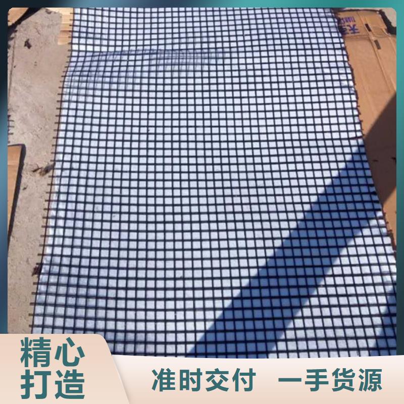 土工格柵雙向拉伸土工格柵定制定做