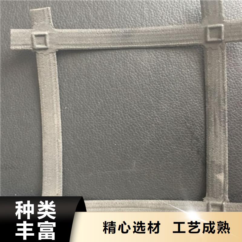 土工格柵_(tái)HDPE土工膜嚴(yán)選材質(zhì)