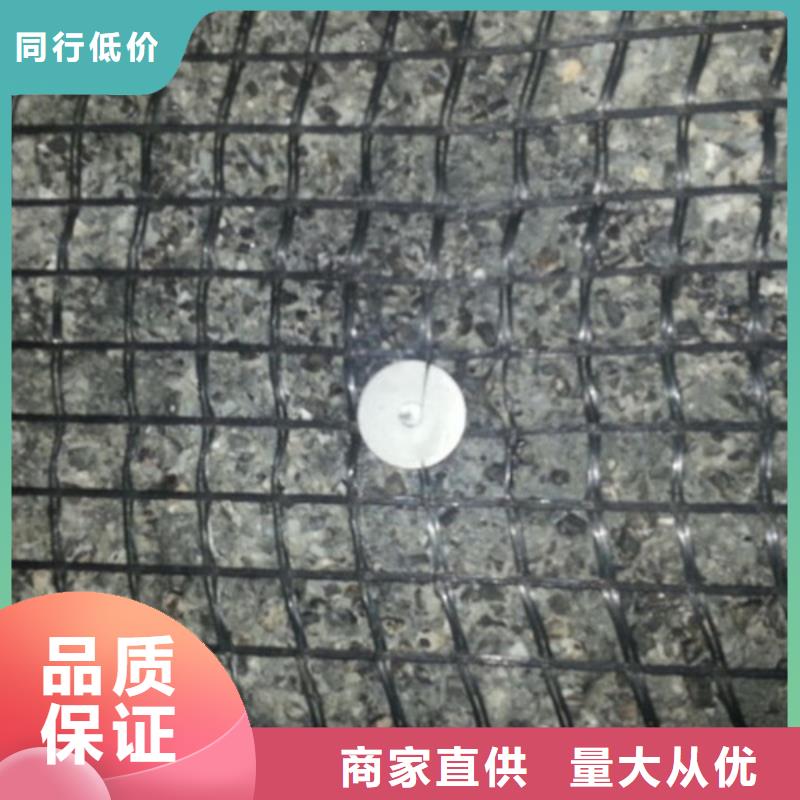 土工格柵雙向焊接土工格柵您身邊的廠家