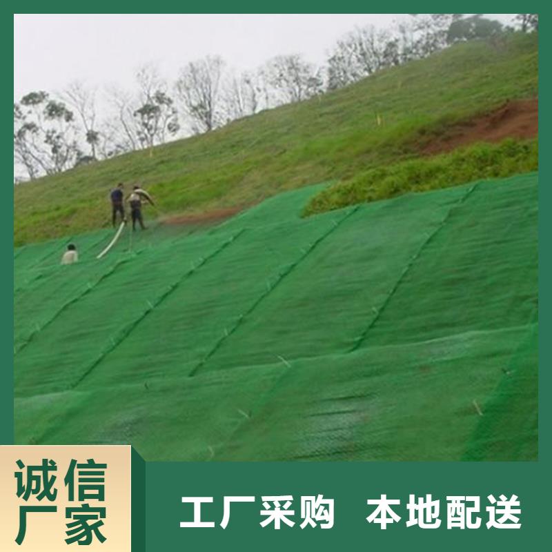 【三维植被网防渗膜一站式供应】