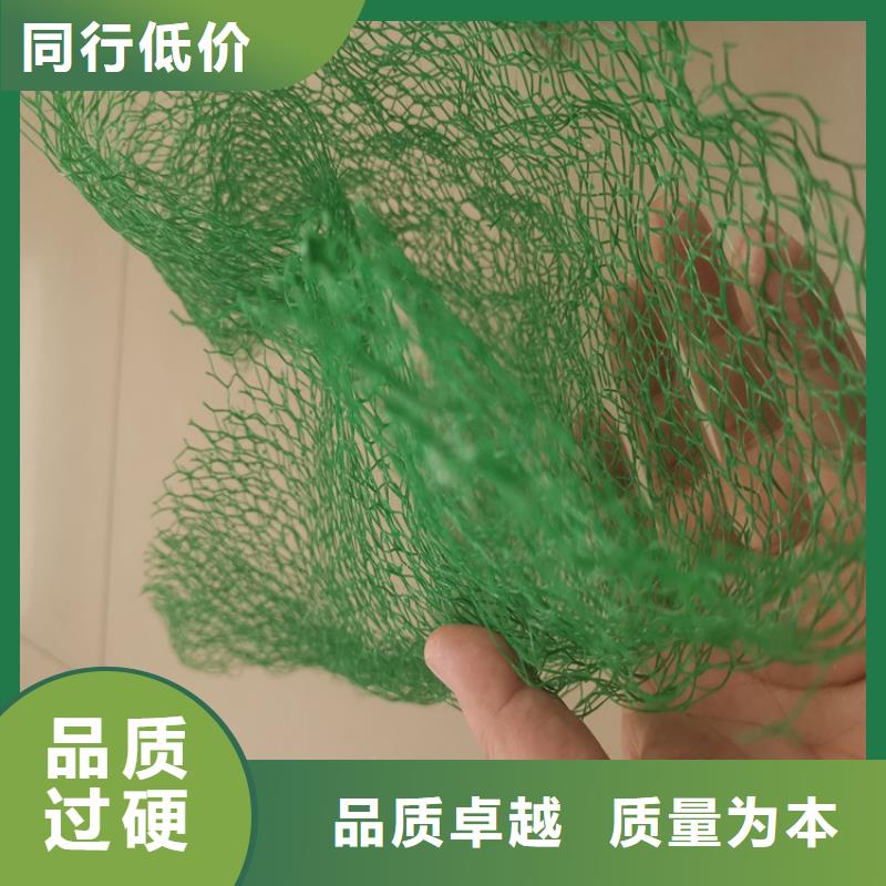 边坡绿化三维植被网