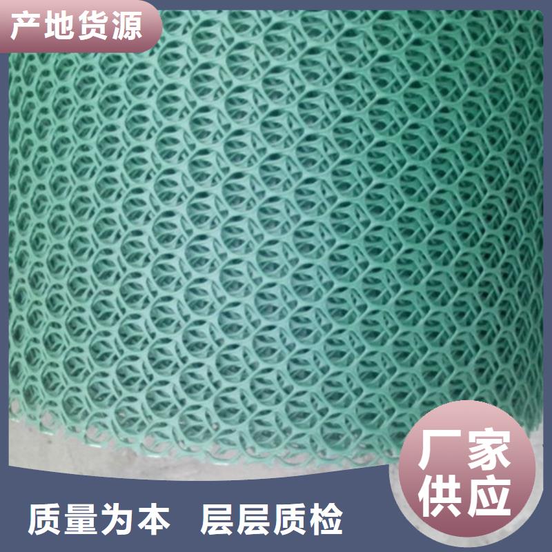 三維植被網(wǎng) 抗裂貼 快速報(bào)價(jià)