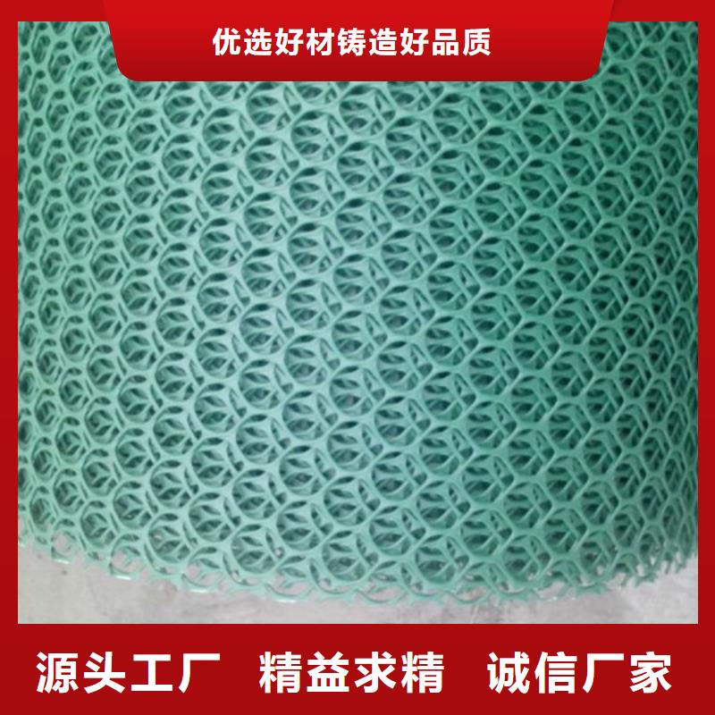 三維植被網(wǎng)-三維網(wǎng)墊品質(zhì)信得過(guò)