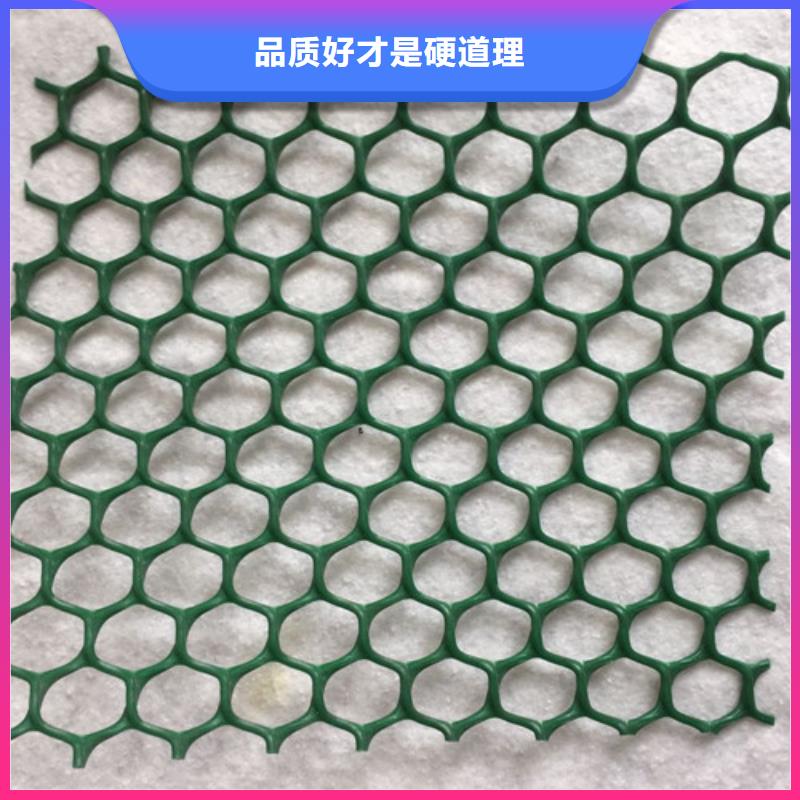 三維植被網(wǎng)加筋麥克墊一致好評(píng)產(chǎn)品