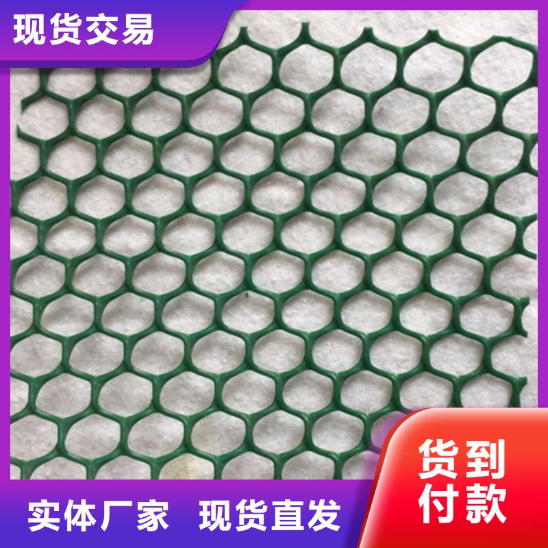 三維植被網(wǎng) 【通風降噪絲網(wǎng)】客戶信賴的廠家