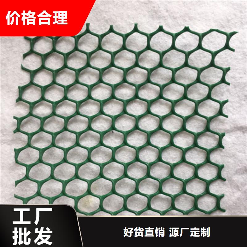 三維植被網(wǎng)三維土工網(wǎng)墊追求品質(zhì)