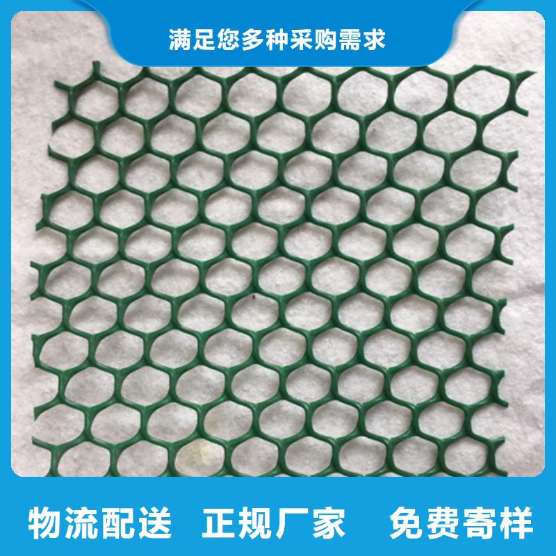 三維植被網(wǎng)_防滲膜專注生產(chǎn)制造多年
