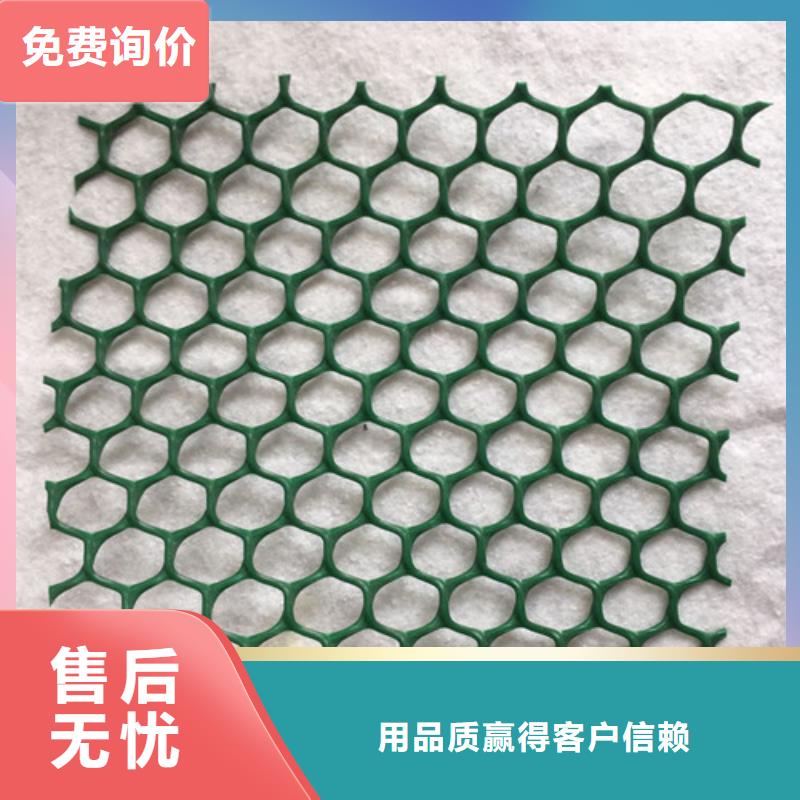 三維植被網(wǎng)土工布現(xiàn)貨批發(fā)