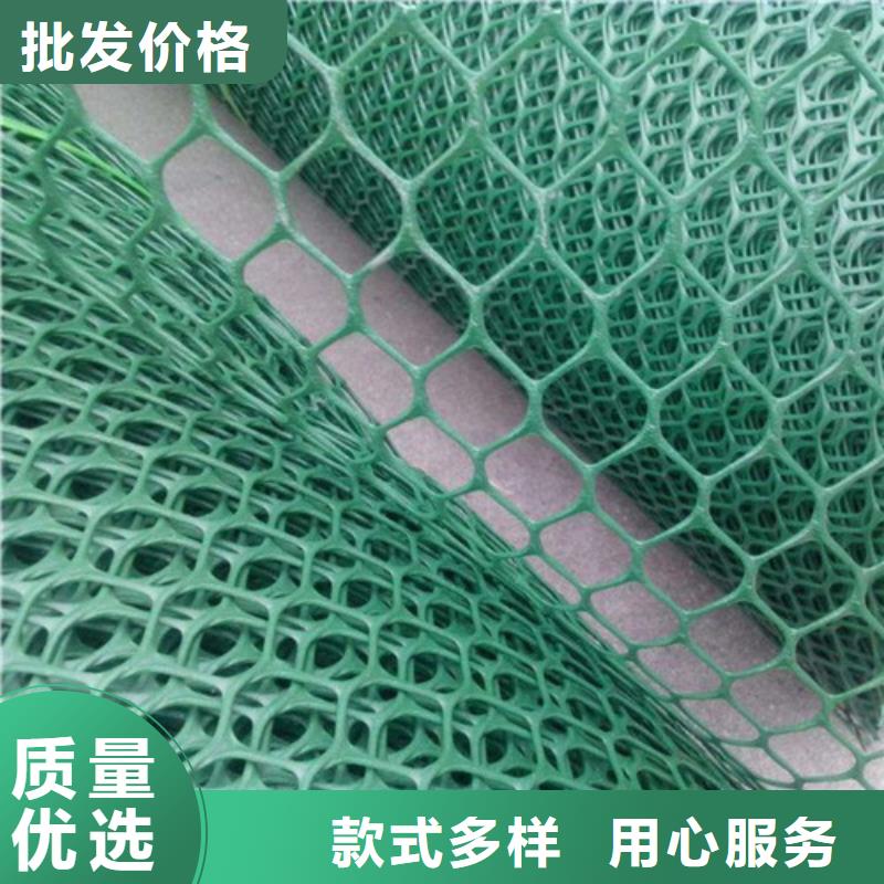 三維植被網(wǎng)-三維網(wǎng)墊品質(zhì)信得過