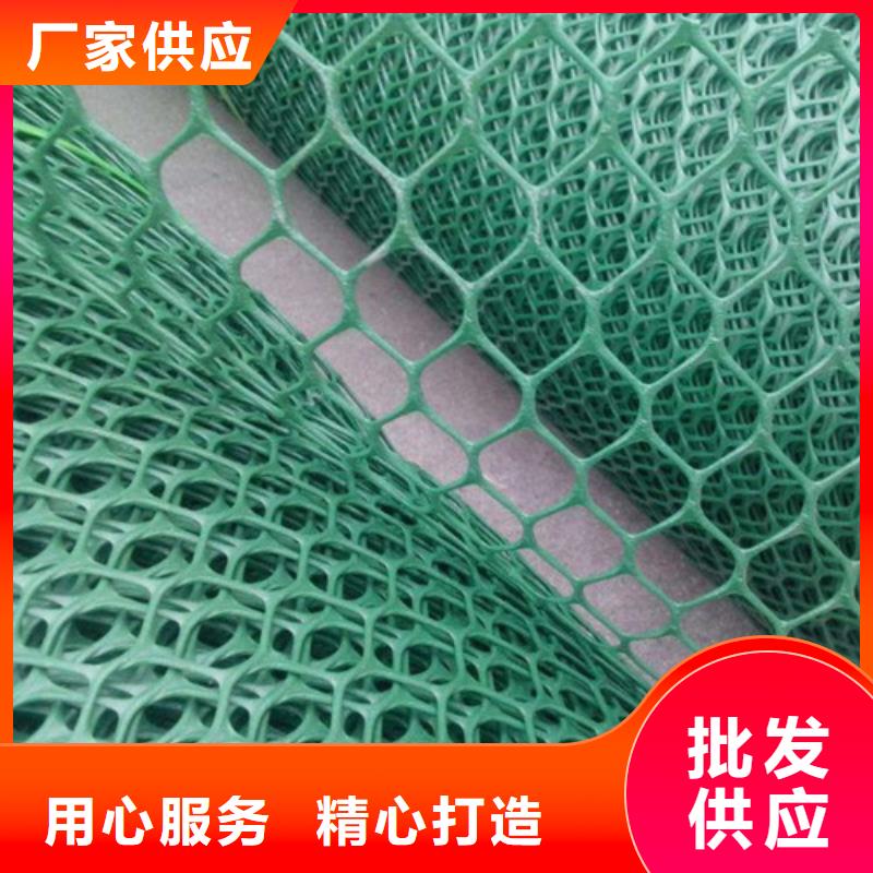 三維植被網(wǎng)-三維網(wǎng)墊品質(zhì)信得過(guò)