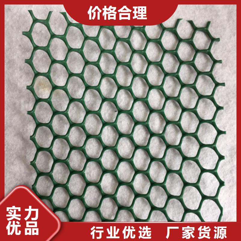 三維植被網(wǎng)土工格柵廠家貨源穩(wěn)定