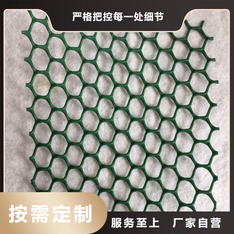 三維植被網(wǎng)【生態(tài)袋】多種規(guī)格供您選擇