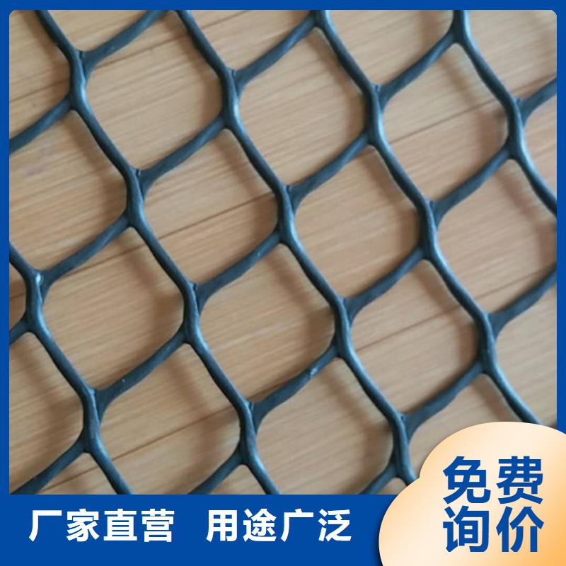 三維植被網(wǎng)-土工布可放心采購