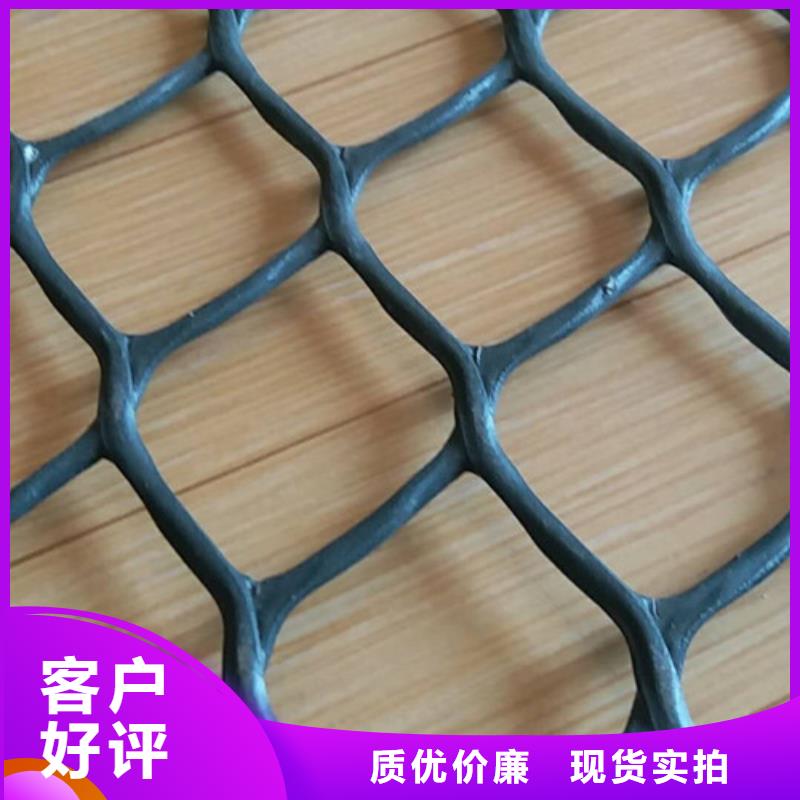 三維植被網(wǎng)_加筋麥克墊供您所需