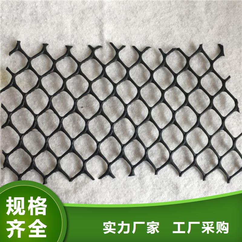 三維植被網(wǎng) 膨潤(rùn)土防水毯質(zhì)優(yōu)價(jià)廉