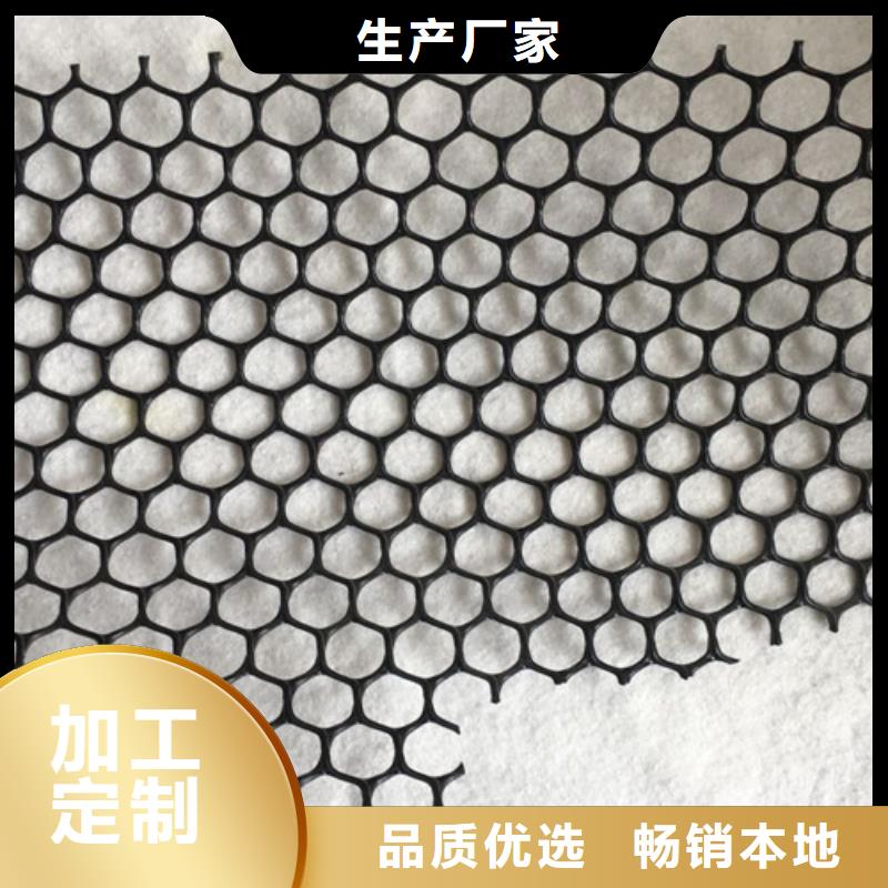 三維植被網(wǎng)三維植被網(wǎng)實力廠家直銷