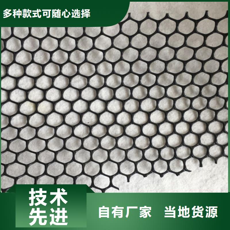 三維植被網(wǎng)【抗裂貼】現(xiàn)貨銷售