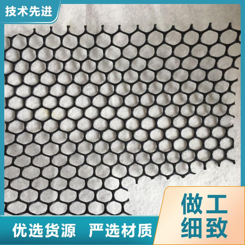 三維植被網(wǎng)土工布現(xiàn)貨批發(fā)