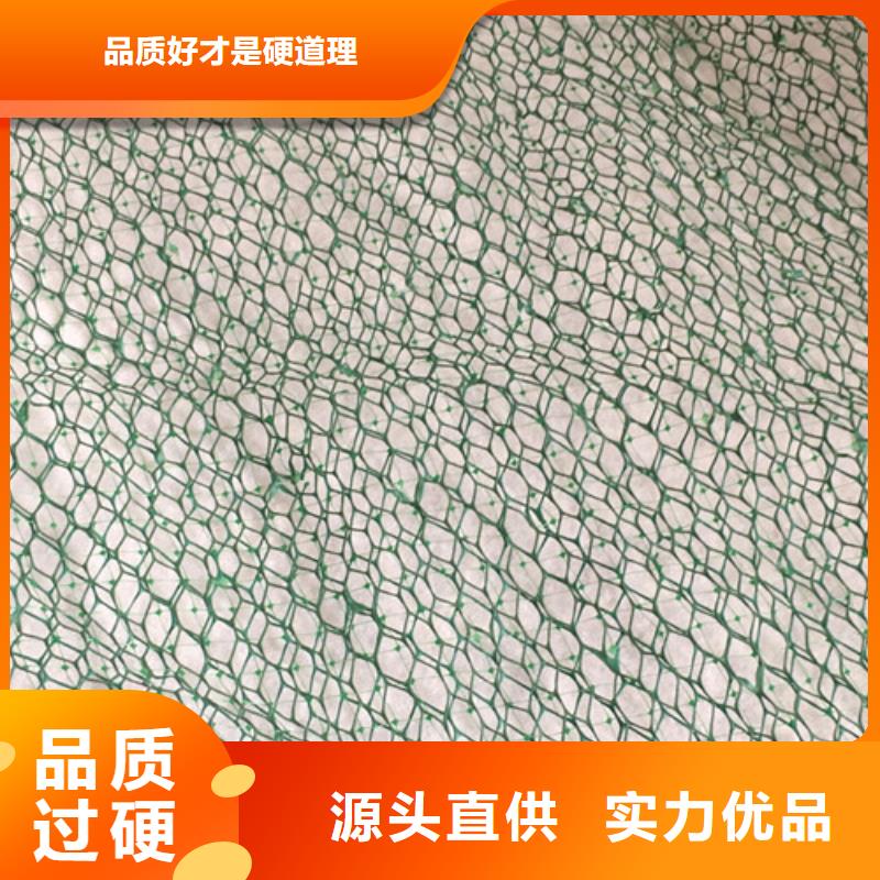 【三維植被網(wǎng)-防水板性價(jià)比高】