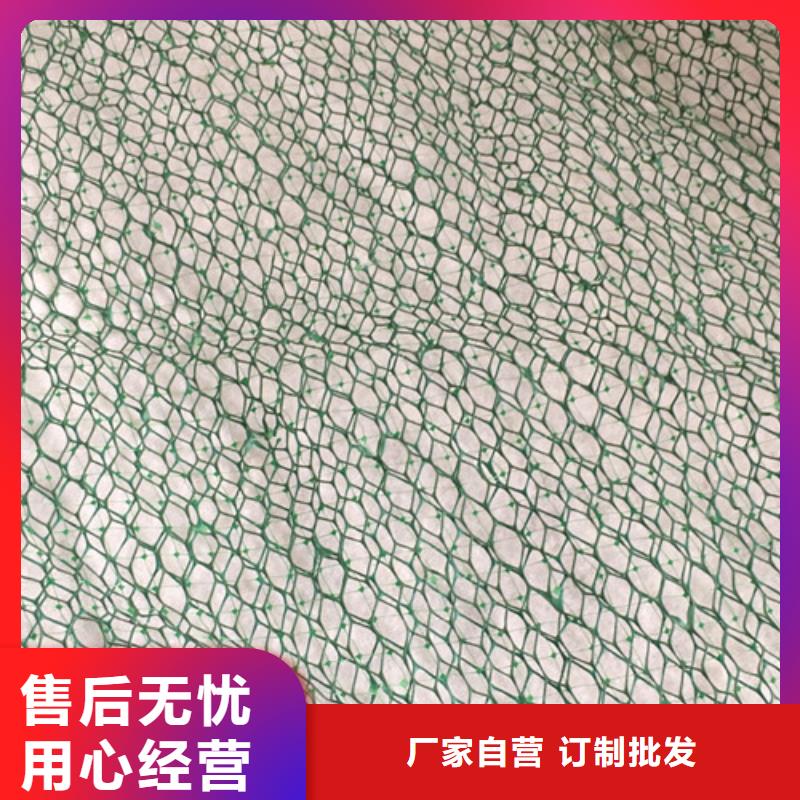 三維植被網加筋麥克墊定制速度快工期短