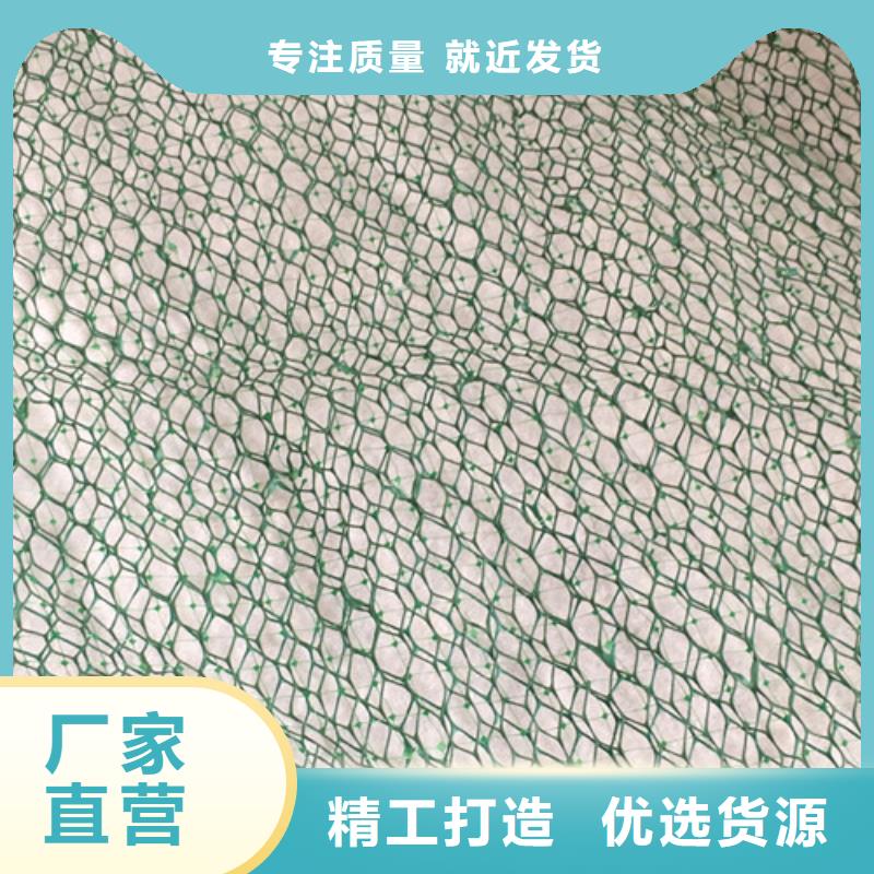 三維植被網(wǎng)土工布品質(zhì)保證