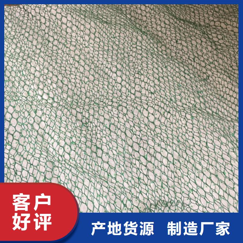 三維植被網(wǎng)-通風(fēng)降噪絲網(wǎng)實(shí)力廠家直銷