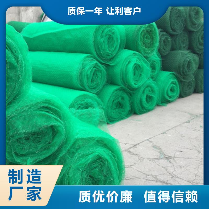 三維植被網(wǎng)抗裂貼 讓利客戶