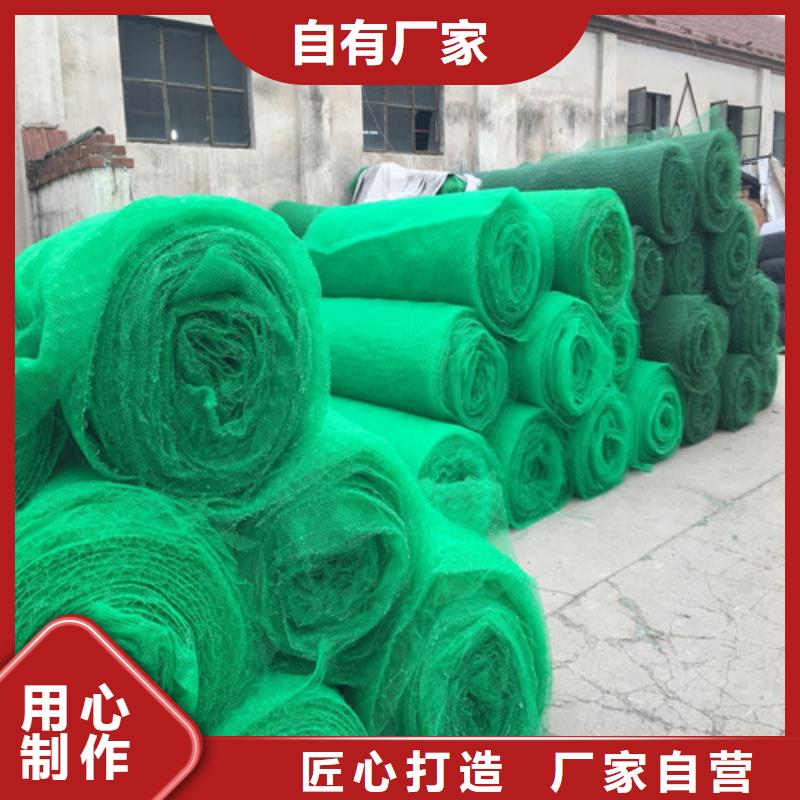 三維植被網(wǎng)土工格柵廠家貨源穩(wěn)定