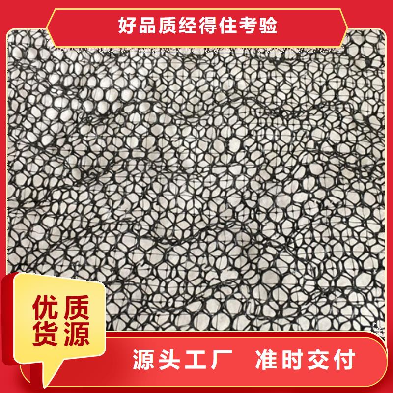 三維植被網(wǎng)土工網(wǎng)來(lái)圖加工定制