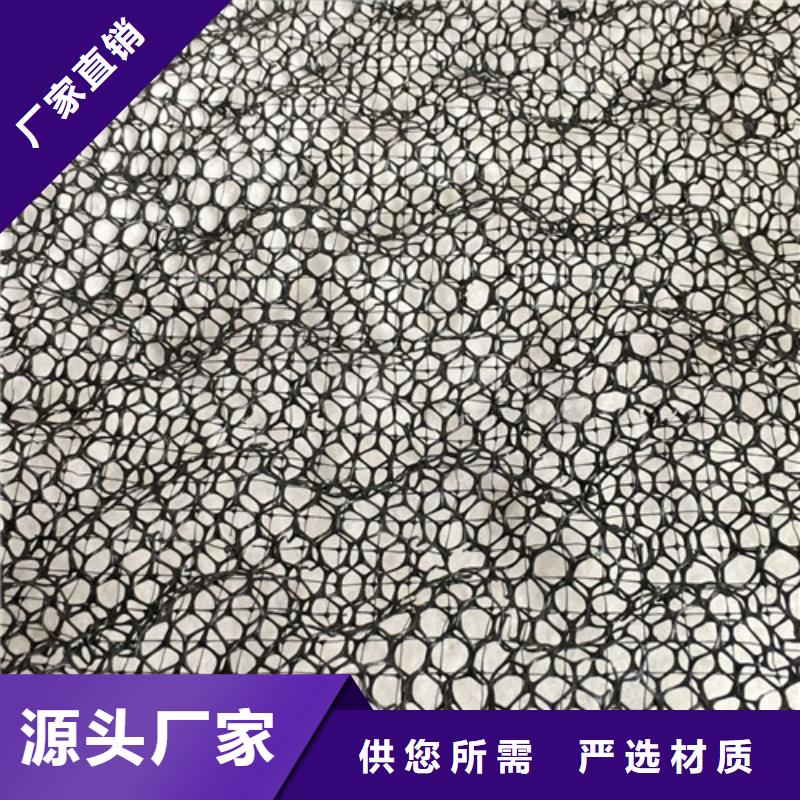 三維植被網(wǎng) 軟式透水管發(fā)貨及時