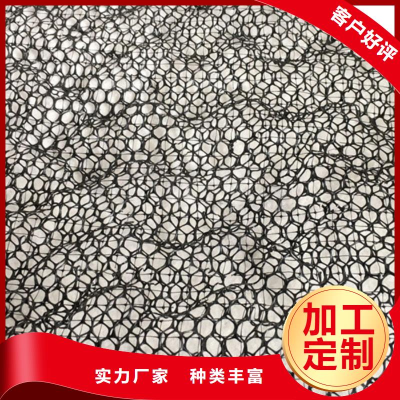三維植被網(wǎng)土工網(wǎng)來(lái)圖加工定制