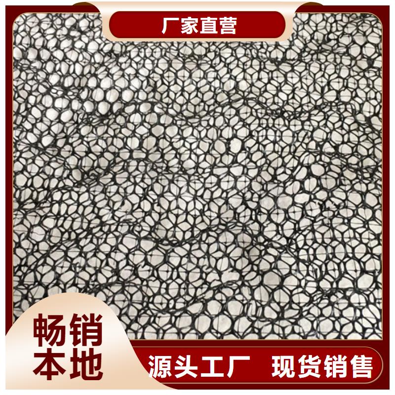 三維植被網(wǎng)【生態(tài)袋】多種規(guī)格供您選擇