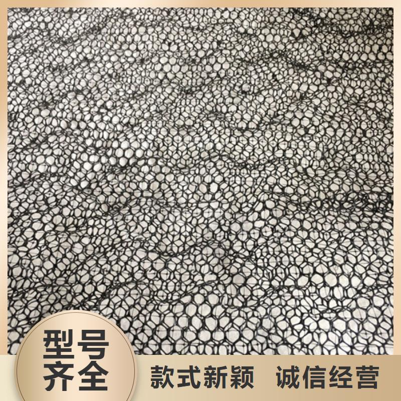 三維植被網(wǎng)-土工布可零售可批發(fā)