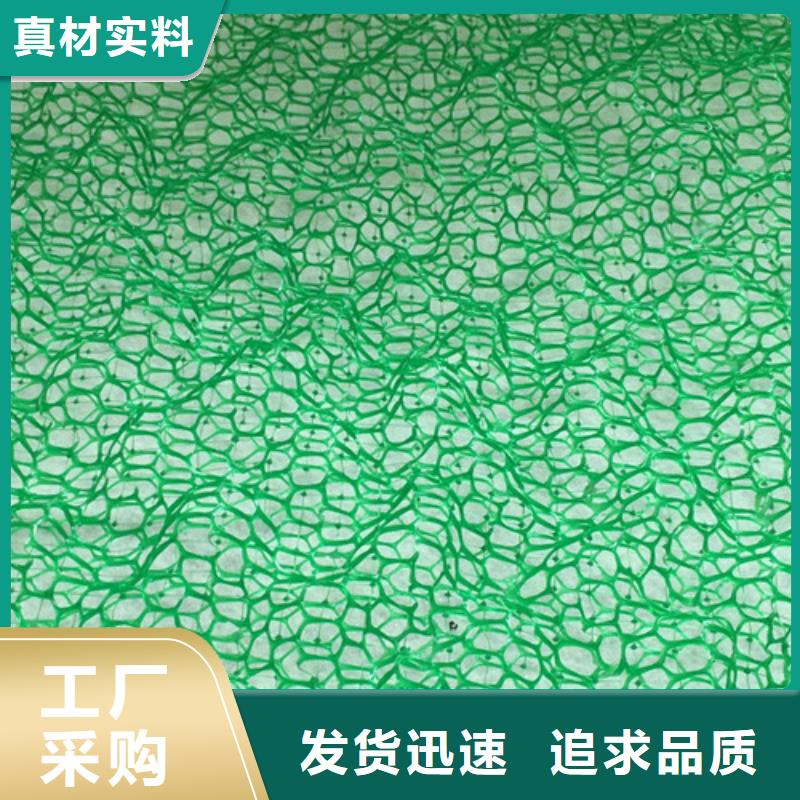 三維植被網(wǎng)【膨潤土防水毯】精選好貨