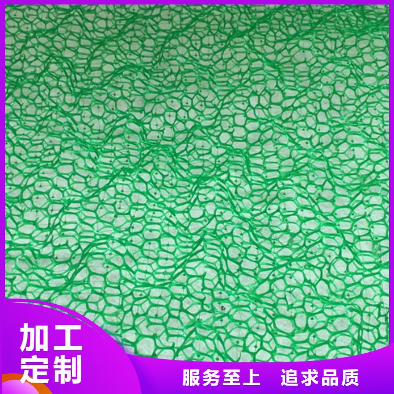 三維植被網(wǎng)土工布現(xiàn)貨批發(fā)