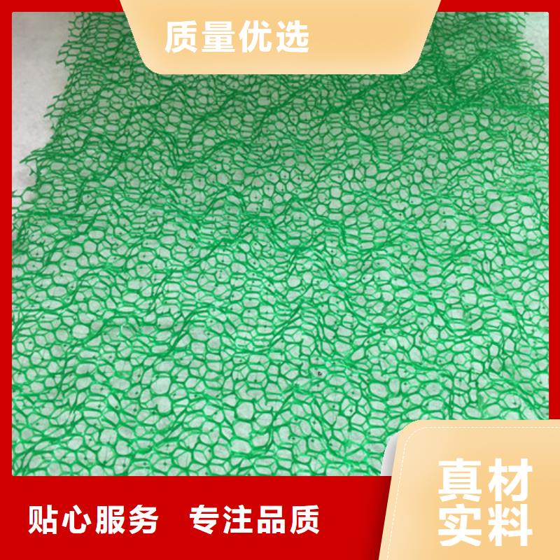 【三維植被網(wǎng)-排水板產(chǎn)地貨源】